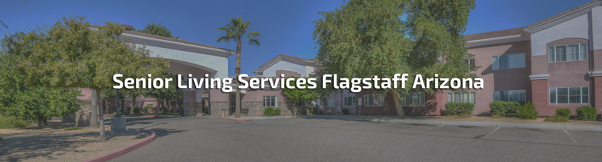 Senior Living Services