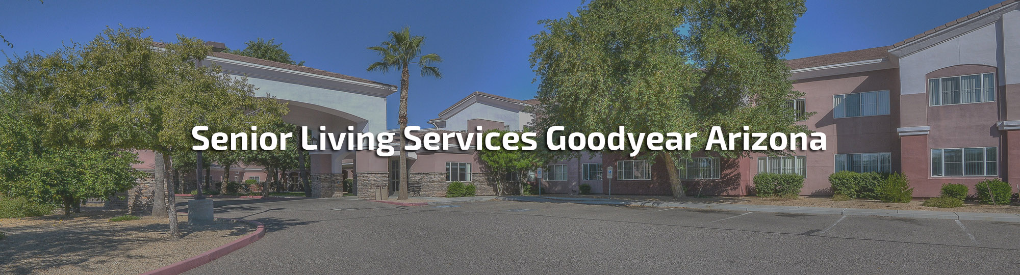 Senior Living Services
