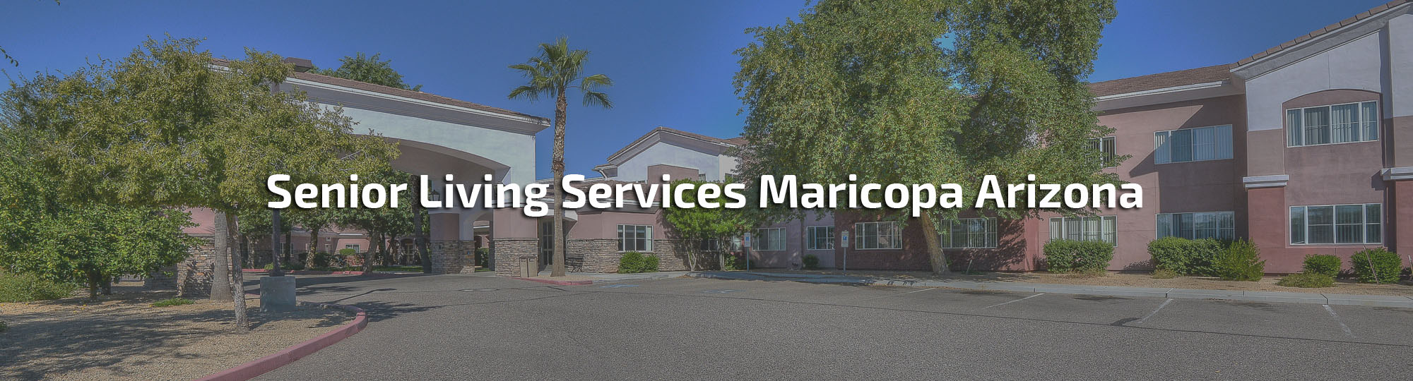 Senior Living Services