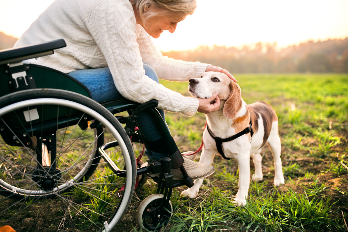 do-assisted-living-facilities-allow-dogs